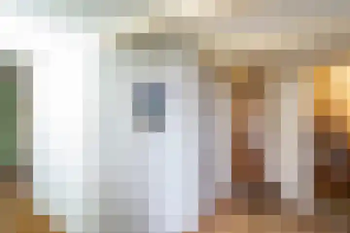 Waaldijk 94 Herwijnen thumbnail 8