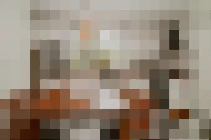 Waaldijk 97 Brakel thumbnail 16