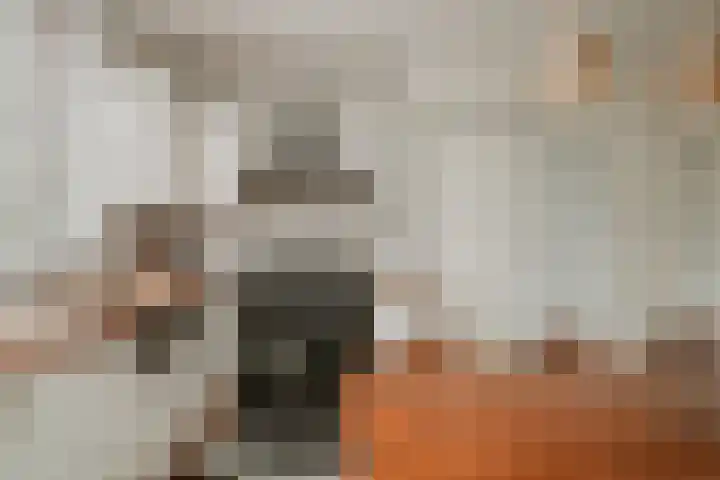 Waaldijk 97 Brakel thumbnail 17