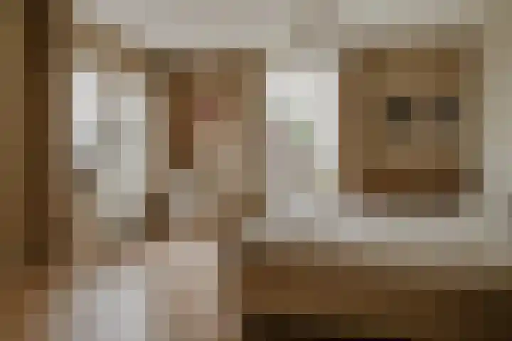 Waaldijk 97 Brakel thumbnail 30