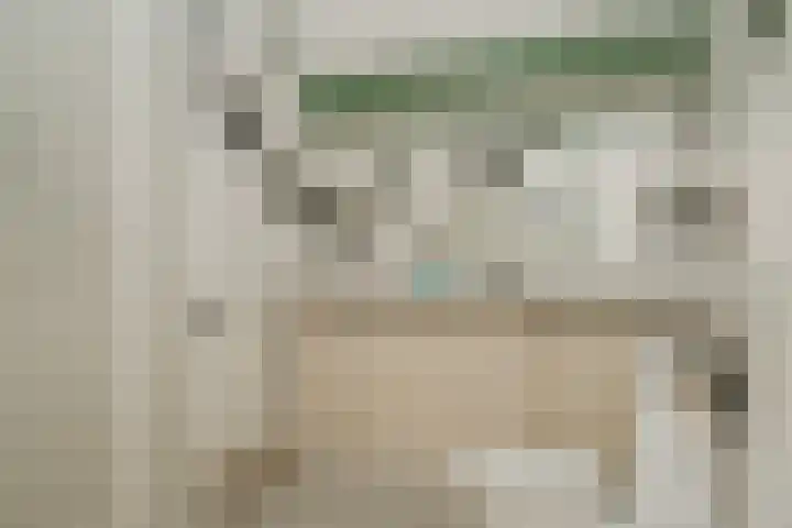 Waaldijk 97 Brakel thumbnail 36