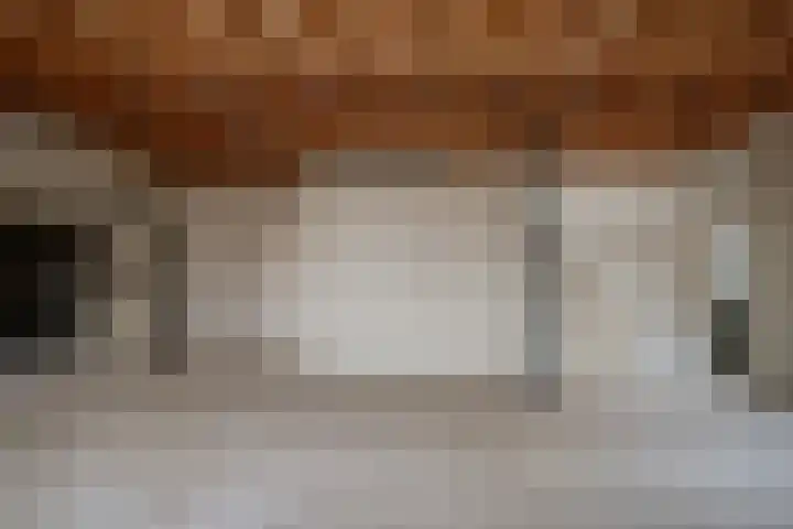 Waaldijk 97 Brakel thumbnail 39