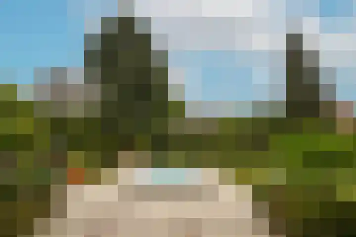 Waaldijk 97 Brakel thumbnail 54