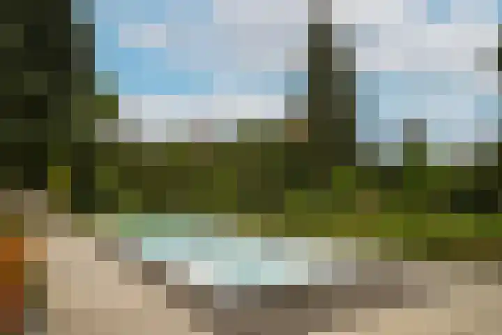 Waaldijk 97 Brakel thumbnail 55
