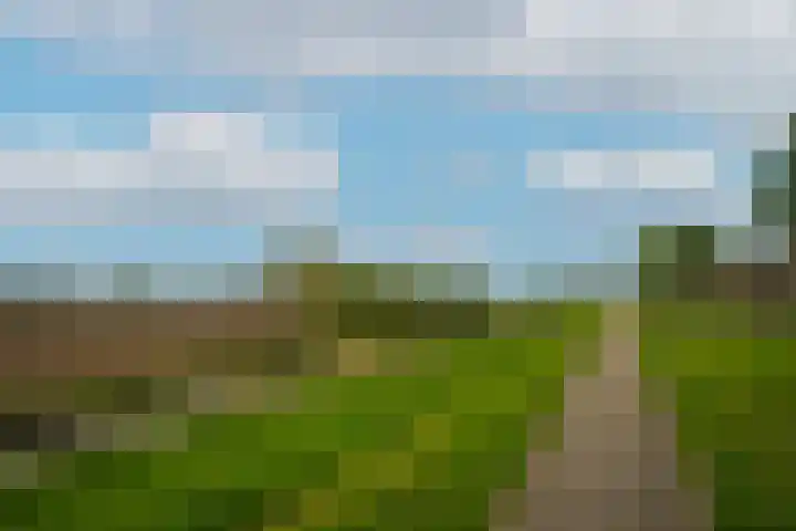 Waaldijk 97 Brakel thumbnail 6