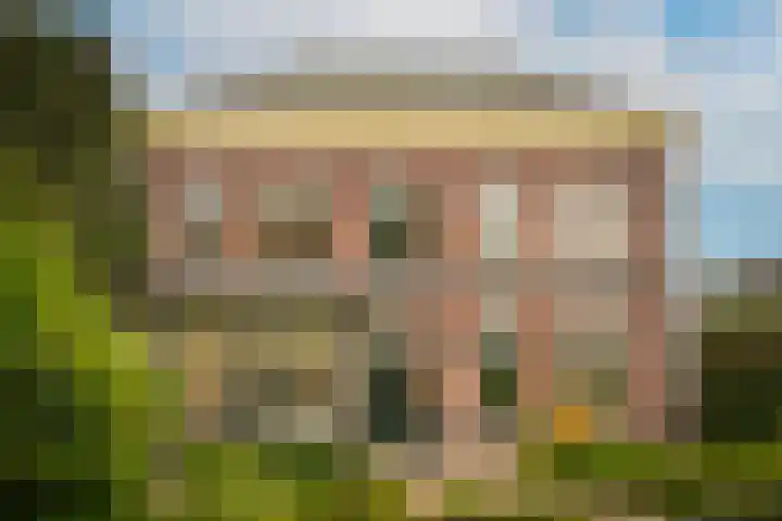Waaldijk 97 Brakel thumbnail 7
