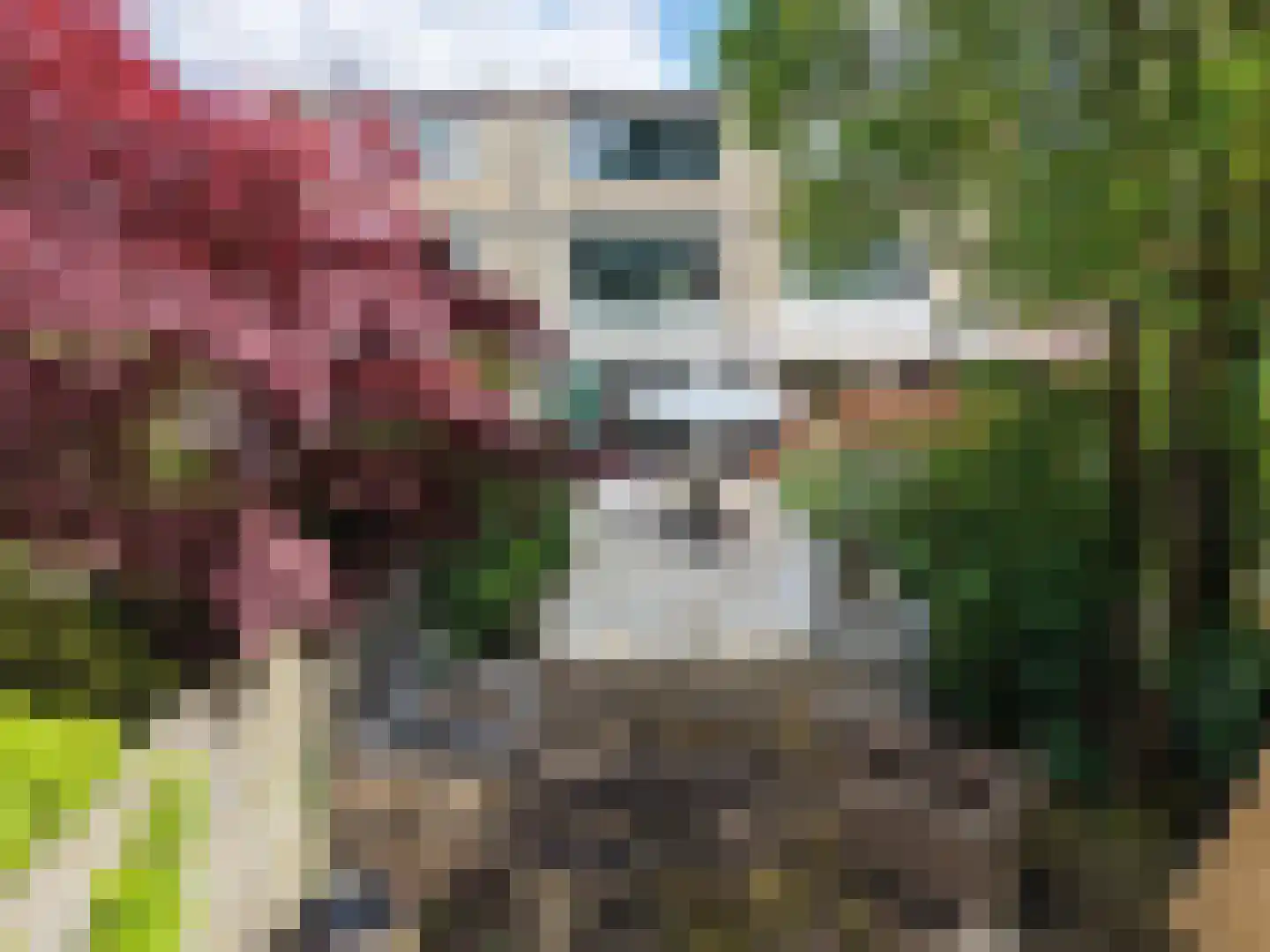Waalhavenstraat 18 Oud-Beijerland thumbnail 26