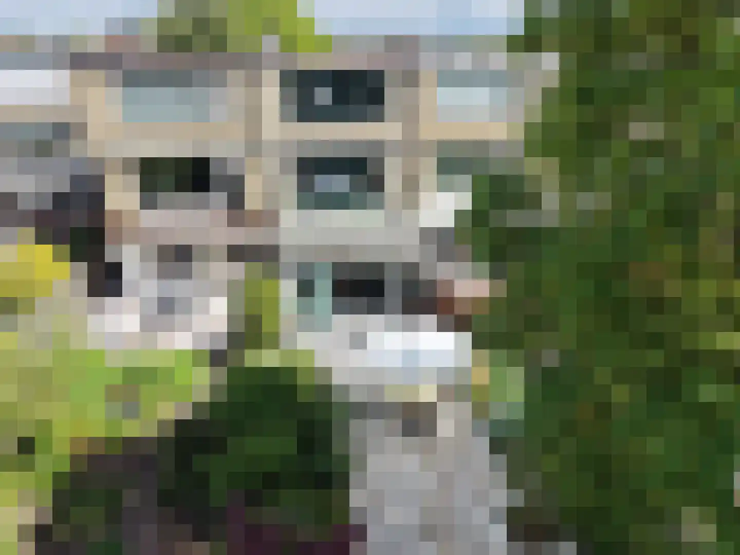 Waalhavenstraat 18 Oud-Beijerland thumbnail 28