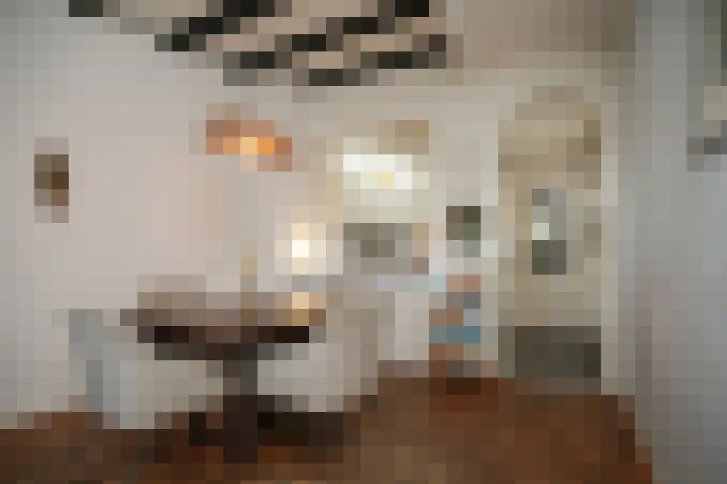 Waalkade 22 Zaltbommel thumbnail 13
