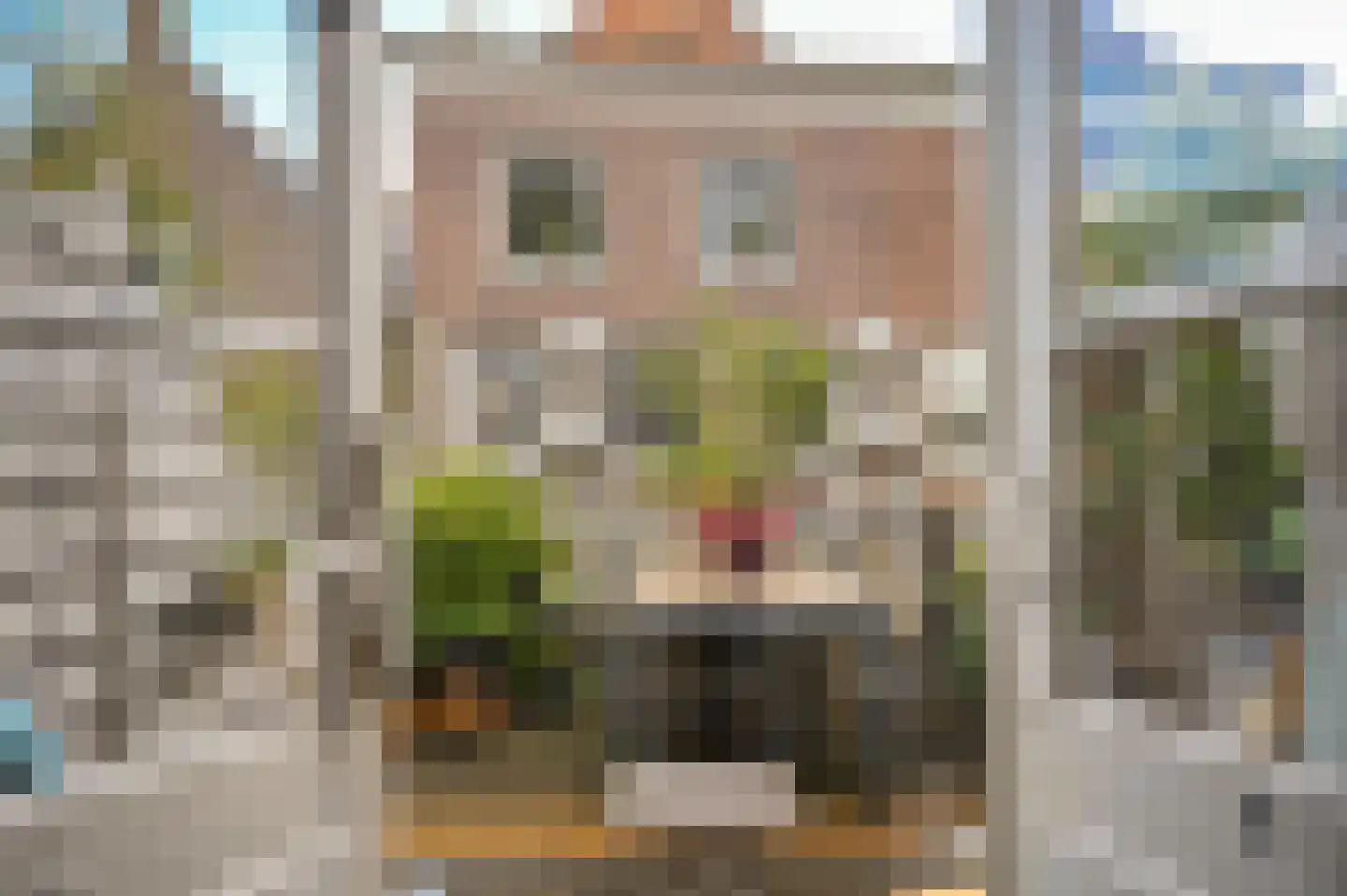 Waalkade 22 Zaltbommel thumbnail 24