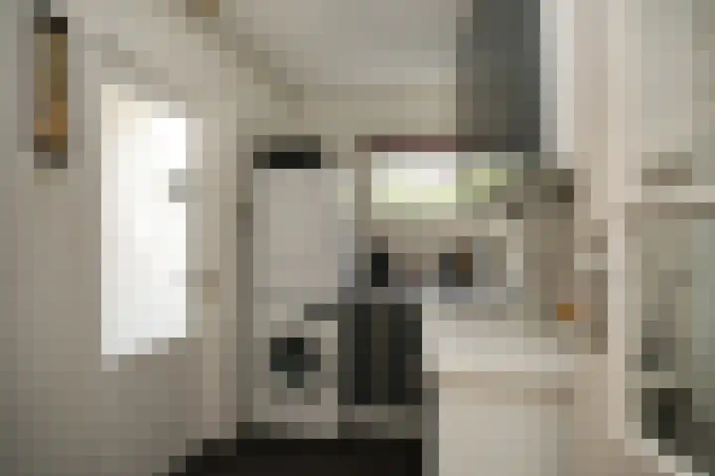 Waalkade 22 Zaltbommel thumbnail 33