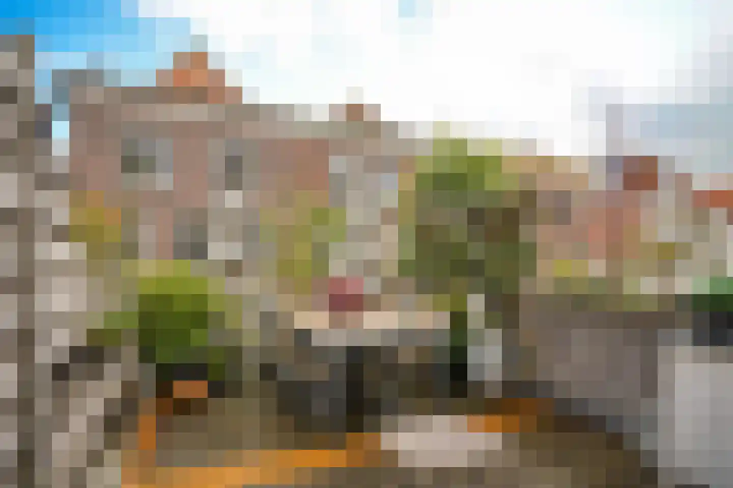 Waalkade 22 Zaltbommel thumbnail 4