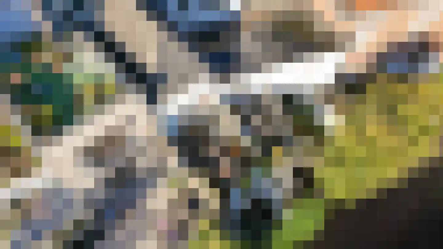 Waalkade 22 Zaltbommel thumbnail 41