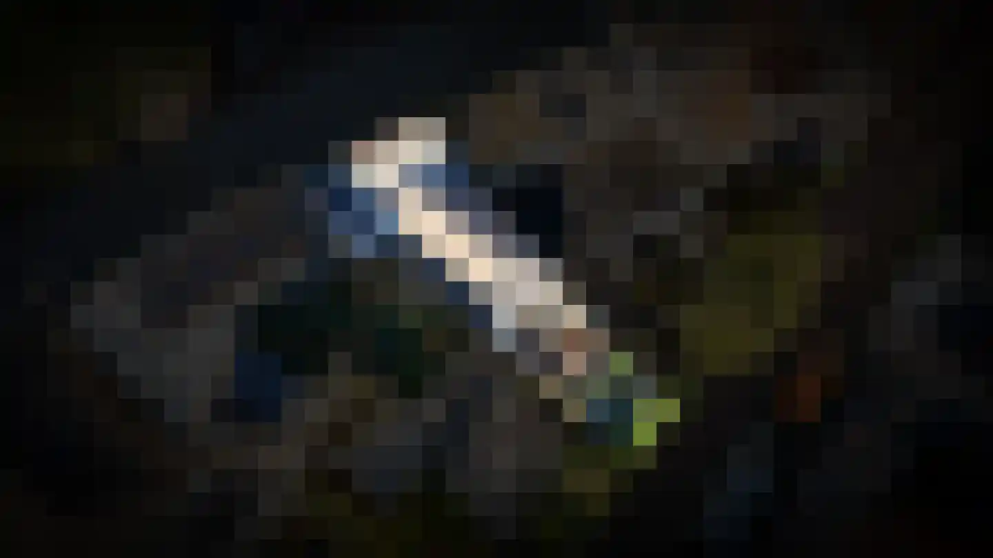 Waalkade 22 Zaltbommel thumbnail 42