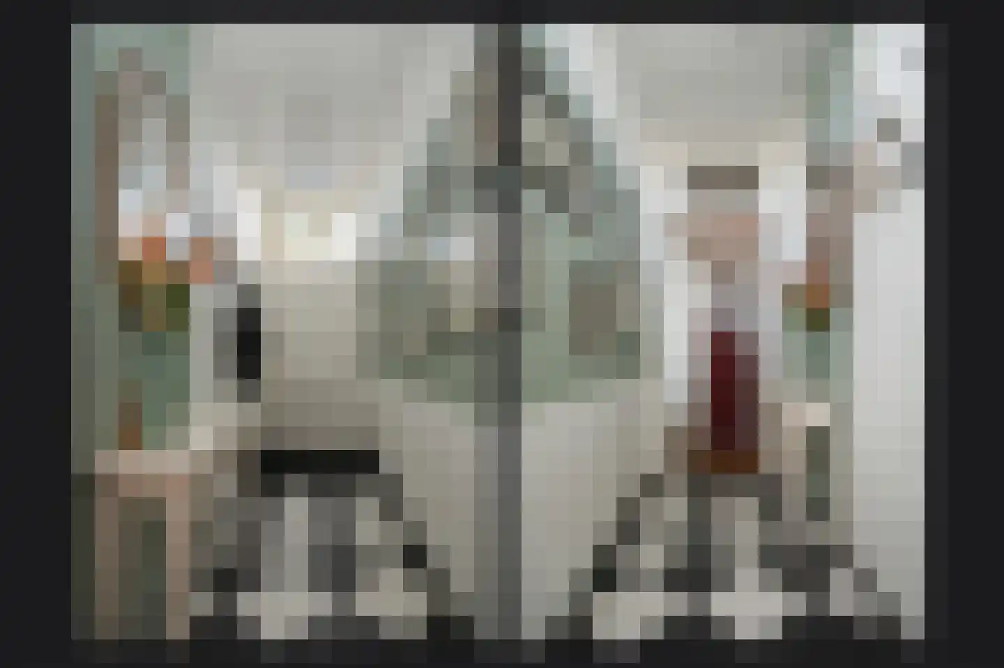 Waalkade 22 Zaltbommel thumbnail 5