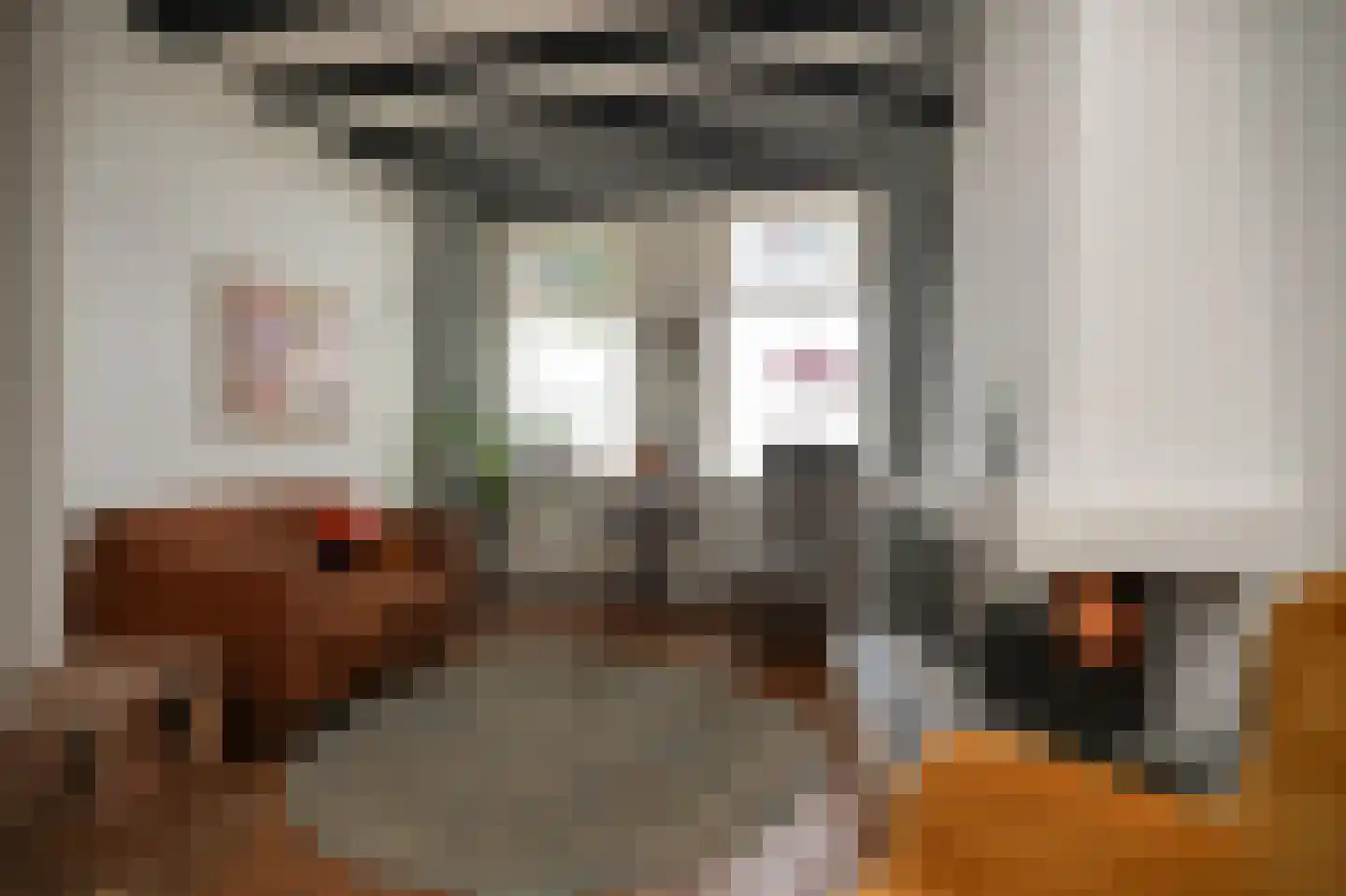 Waalkade 22 Zaltbommel thumbnail 6