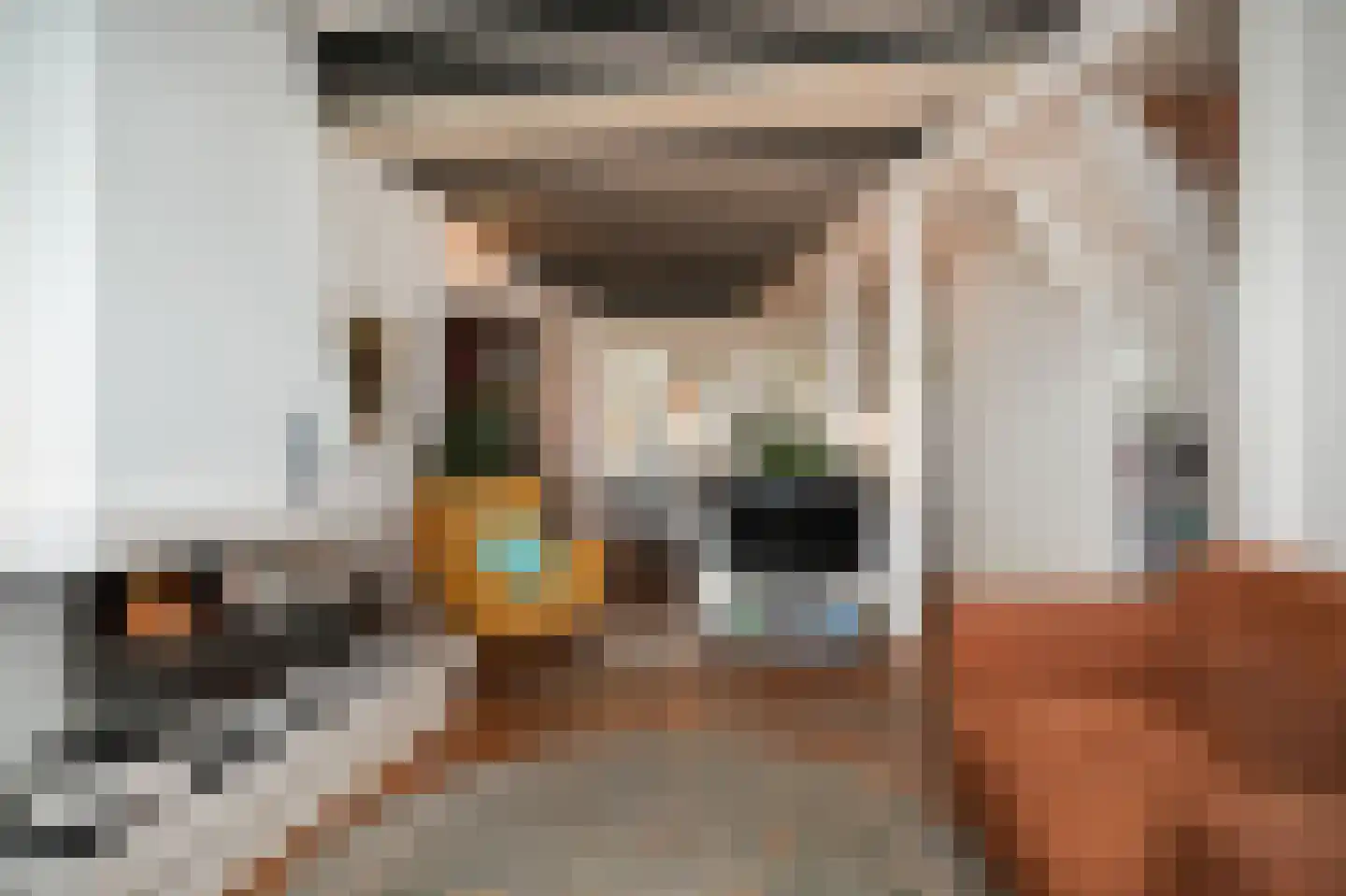 Waalkade 22 Zaltbommel thumbnail 8