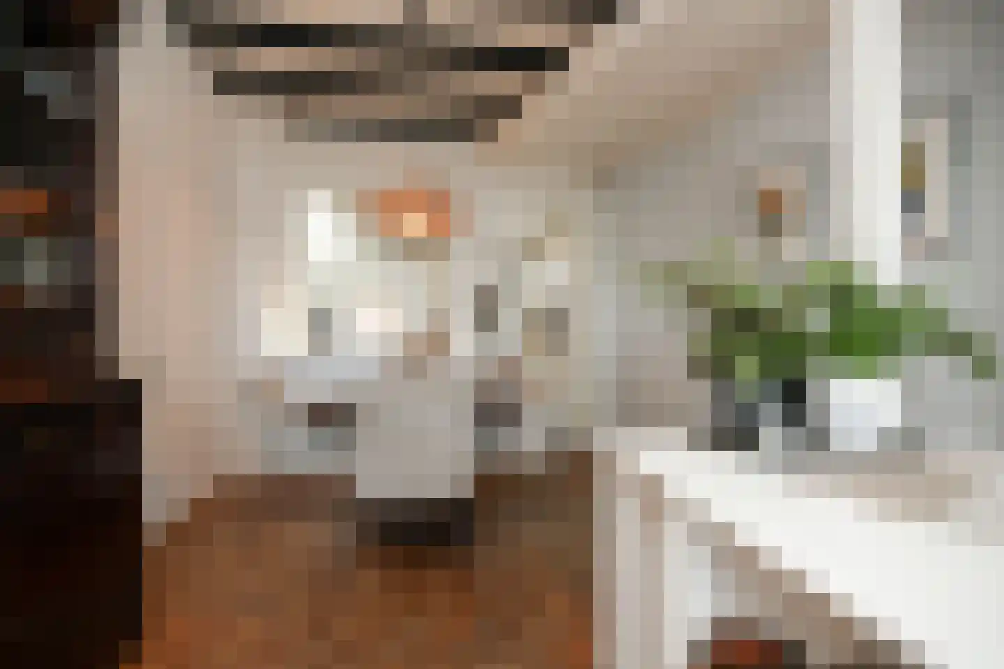 Waalkade 22 Zaltbommel thumbnail 9