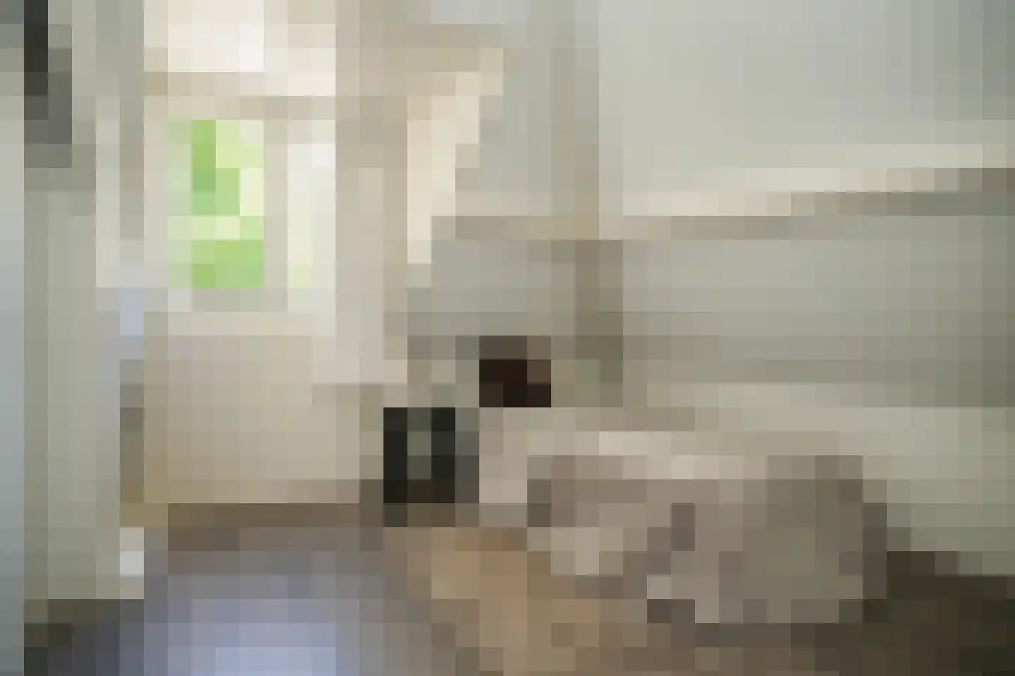 Waalkade 30 Zaltbommel thumbnail 35