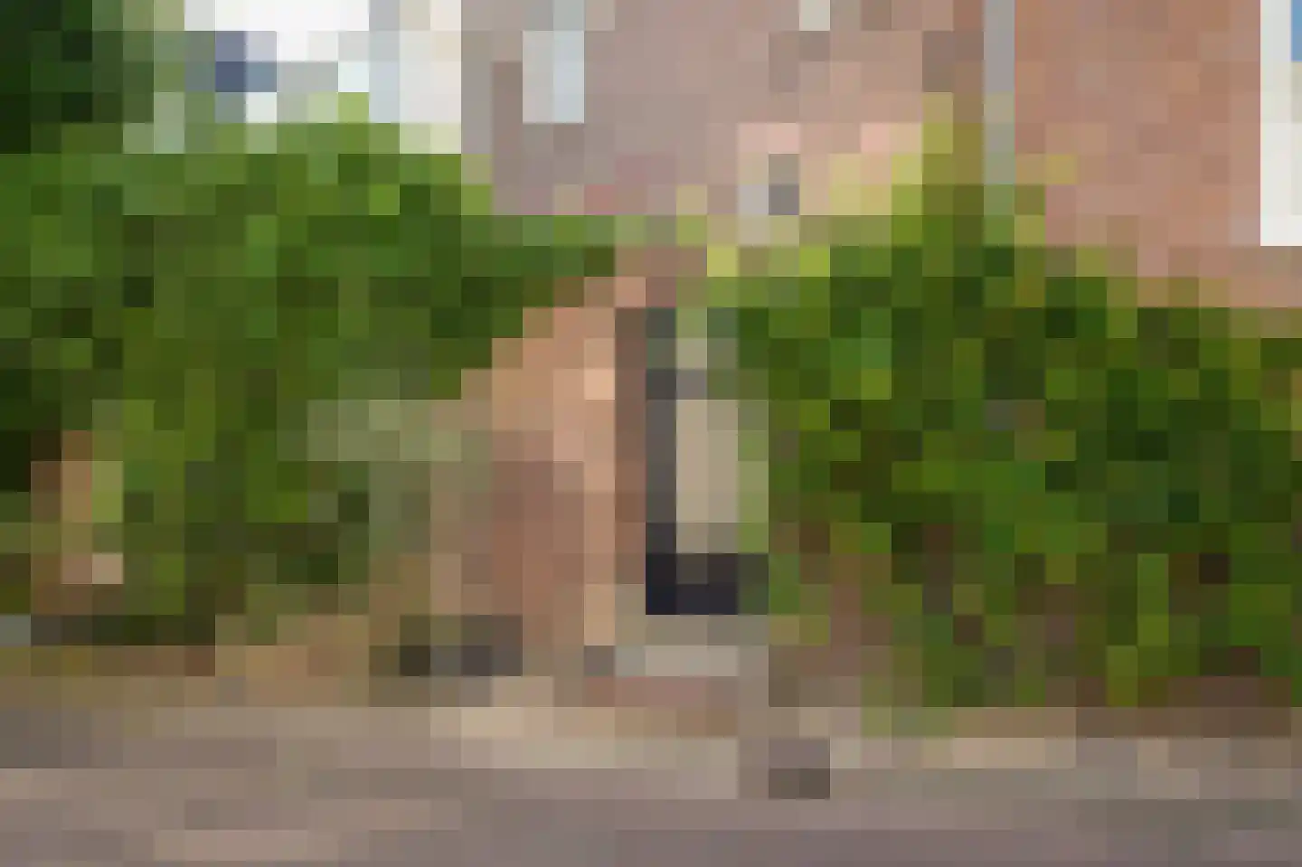 Waalkade 30 Zaltbommel thumbnail 45