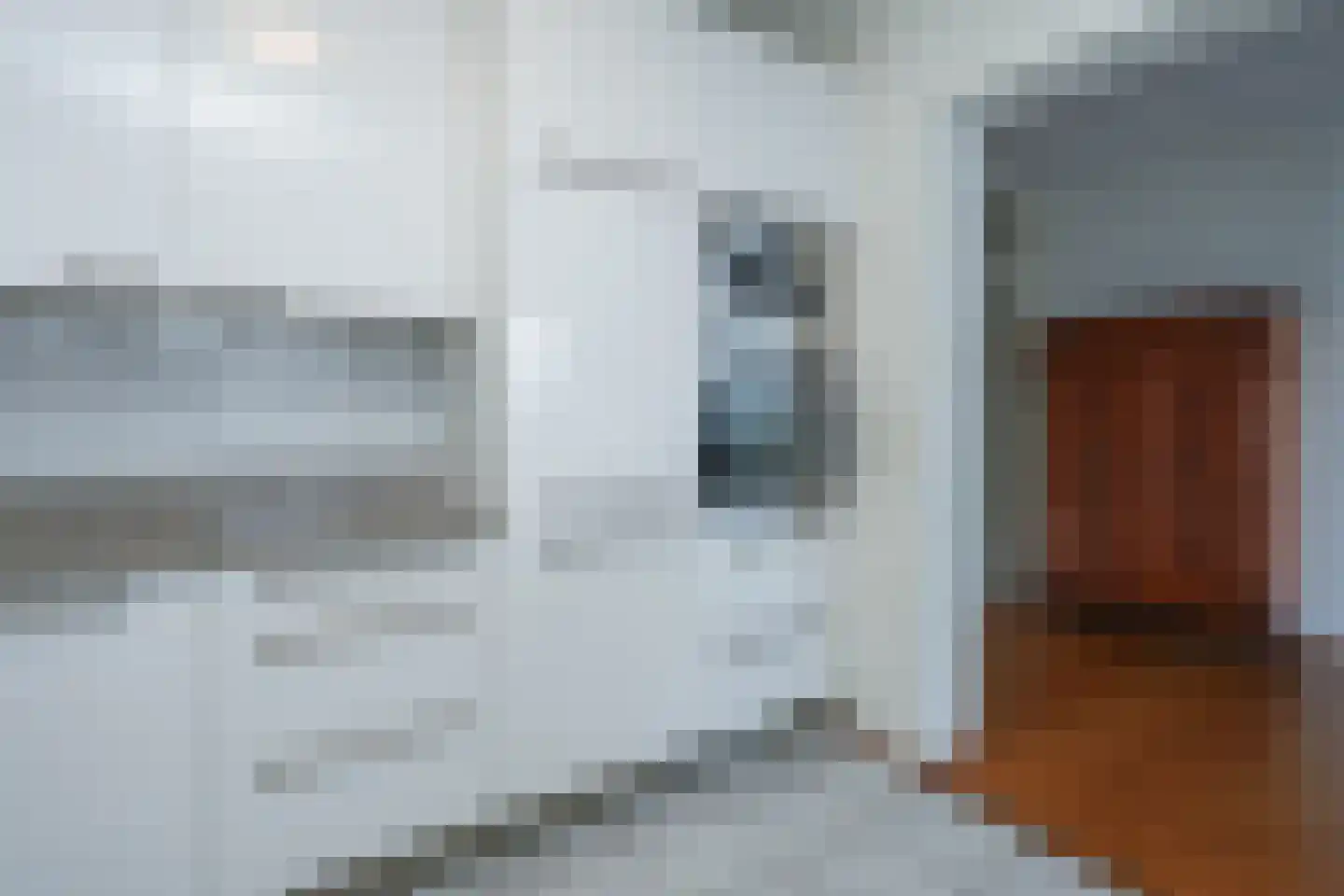 Waalkade 35 Nijmegen thumbnail 21