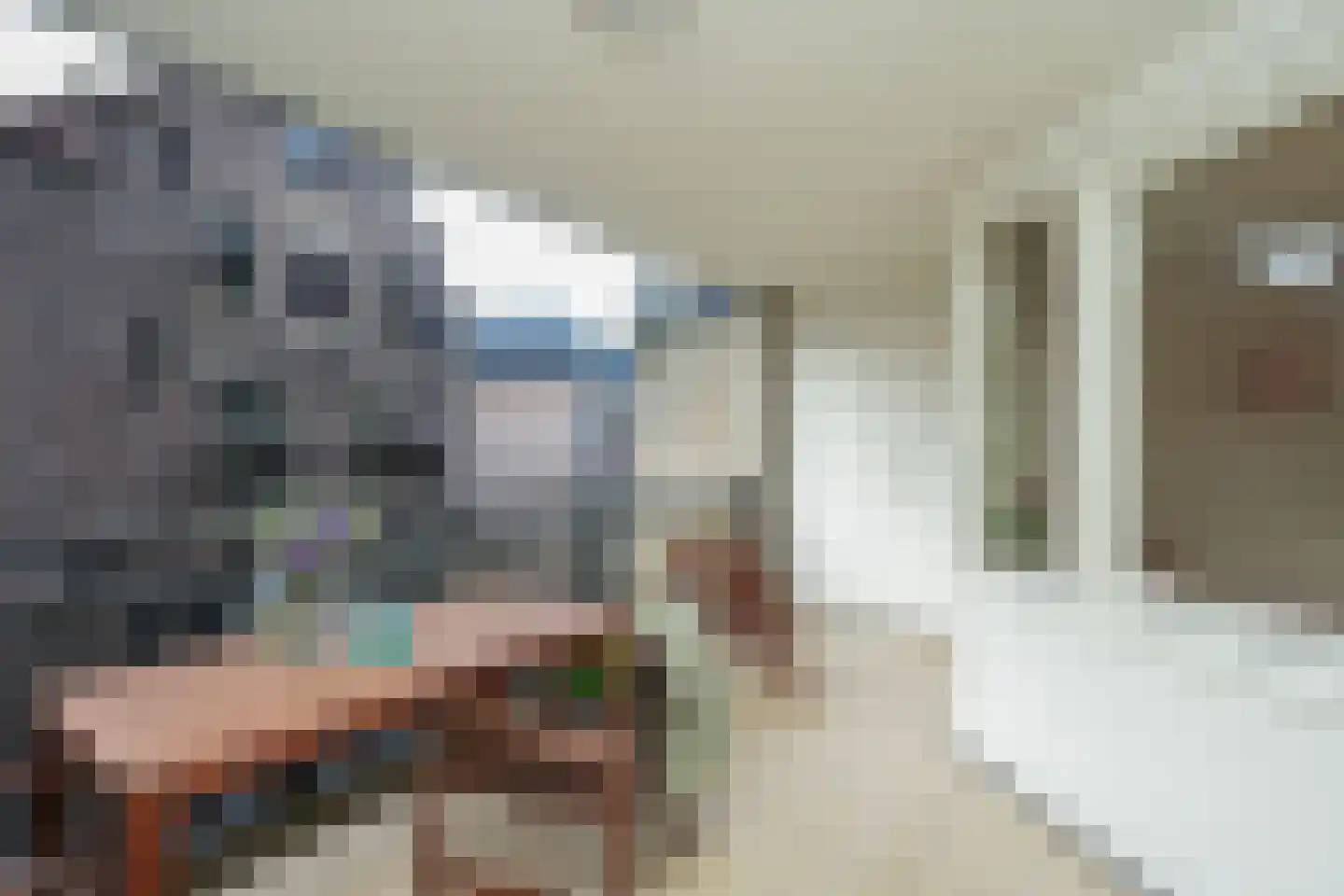 Waalkade 35 Nijmegen thumbnail 26