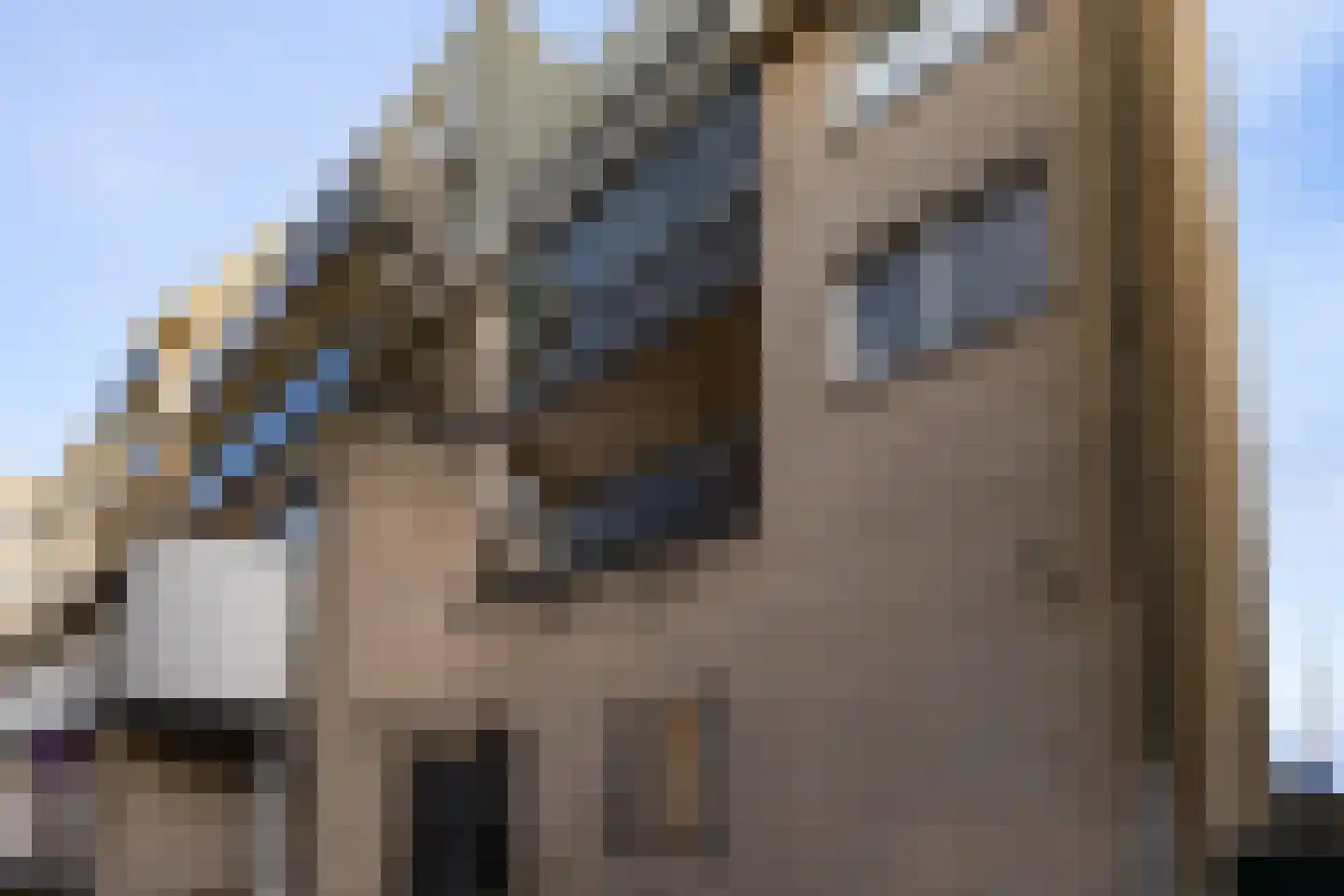 Waalkade 35 Nijmegen thumbnail 40
