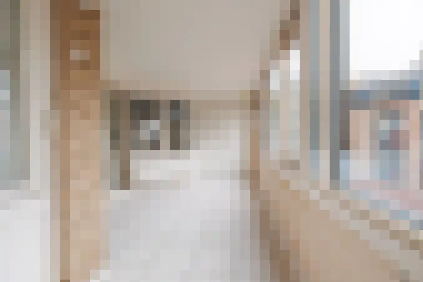 Waalkade 42 Nijmegen thumbnail 44