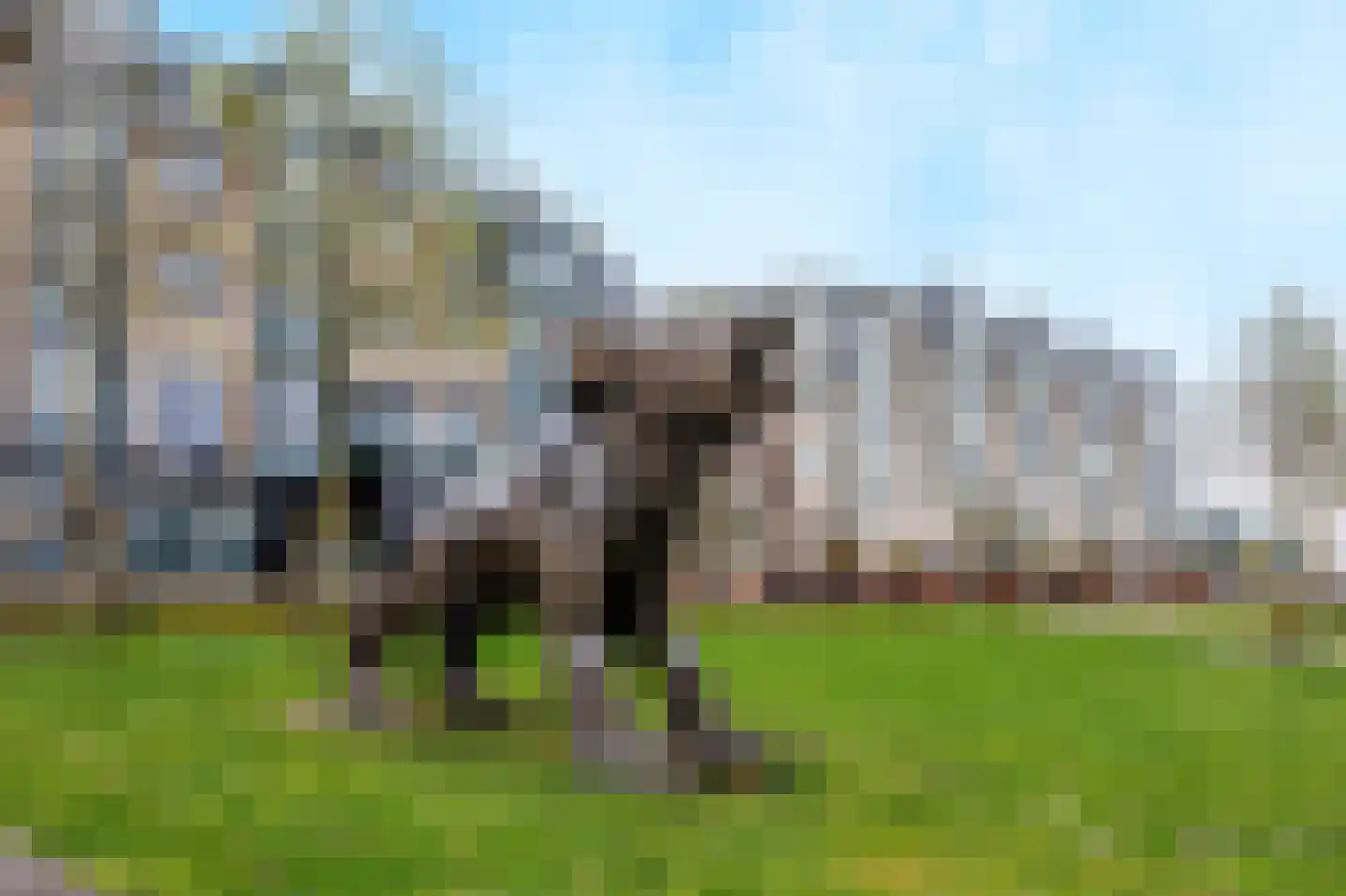 Waalkade 42 Nijmegen thumbnail 54