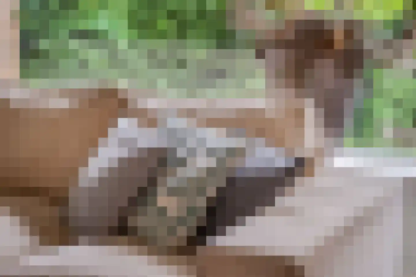 Waalkant 11 Ochten thumbnail 11