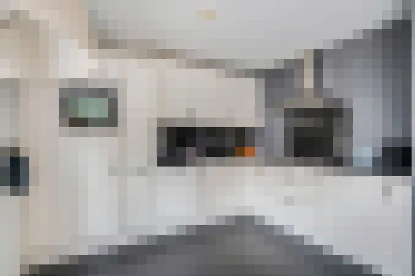 Waalkant 11 Ochten thumbnail 13