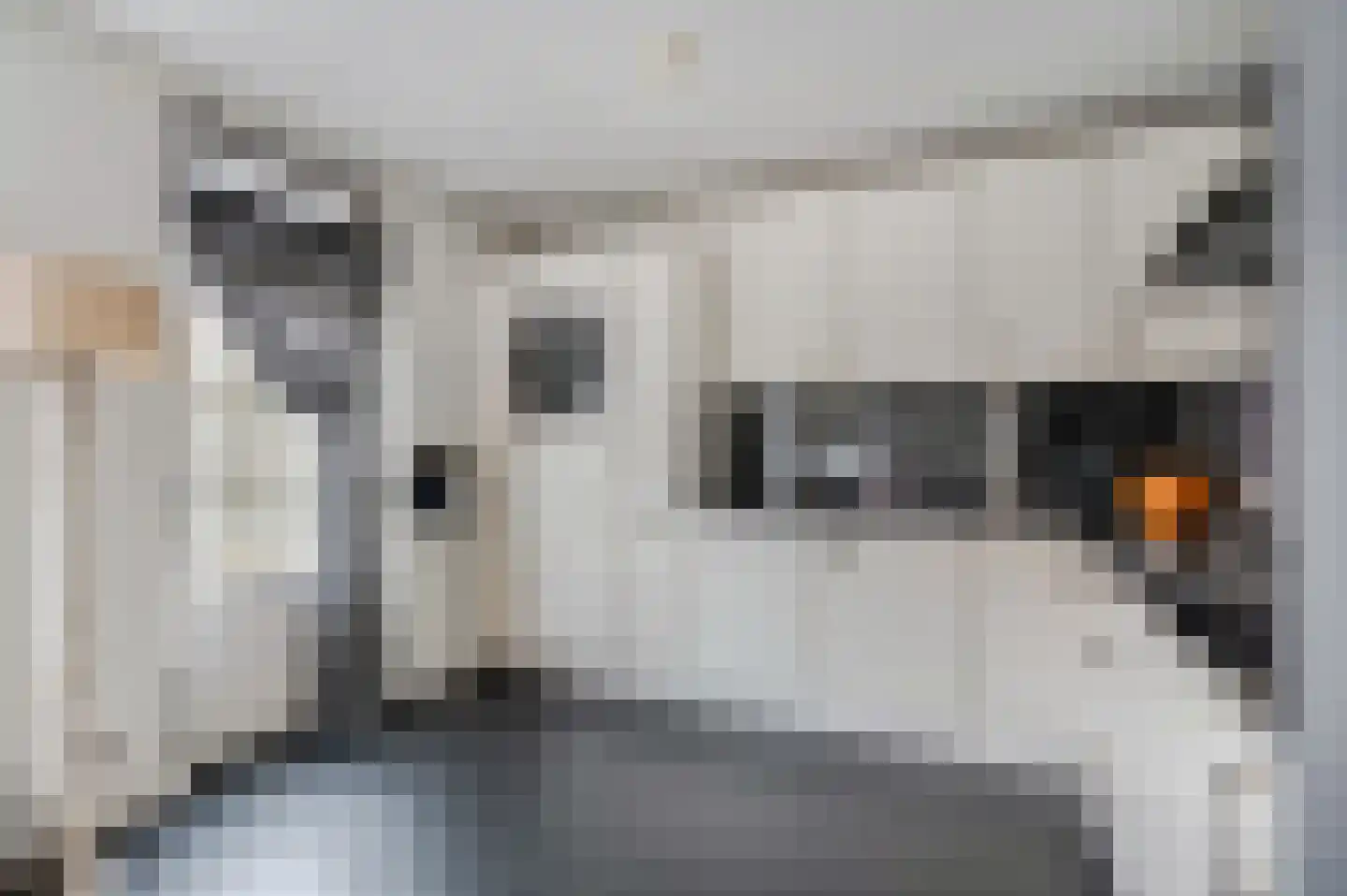 Waalkant 11 Ochten thumbnail 15