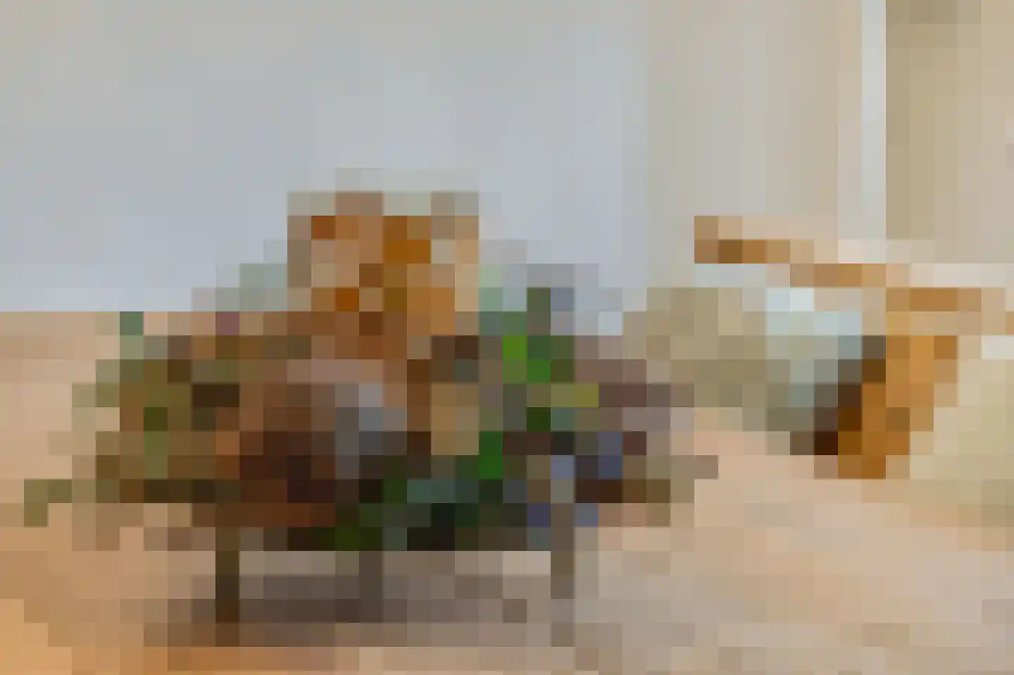 Waalkant 11 Ochten thumbnail 18