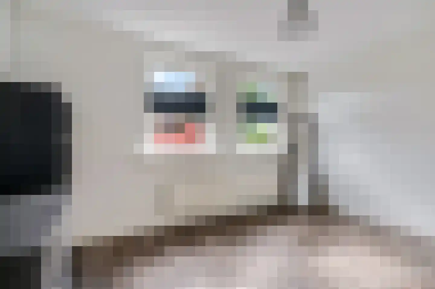 Waalkant 11 Ochten thumbnail 26