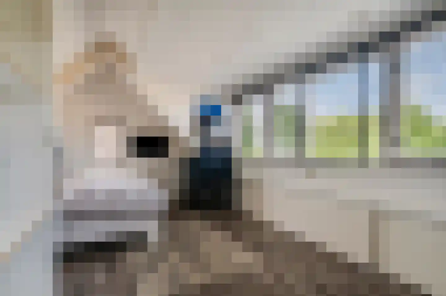 Waalkant 11 Ochten thumbnail 34