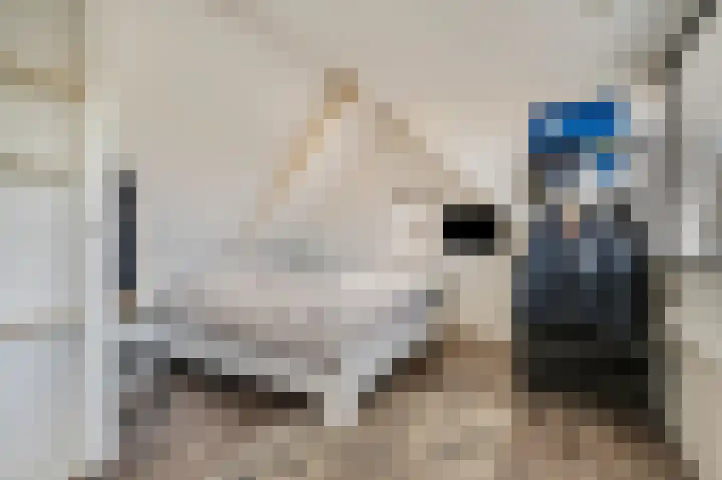 Waalkant 11 Ochten thumbnail 35