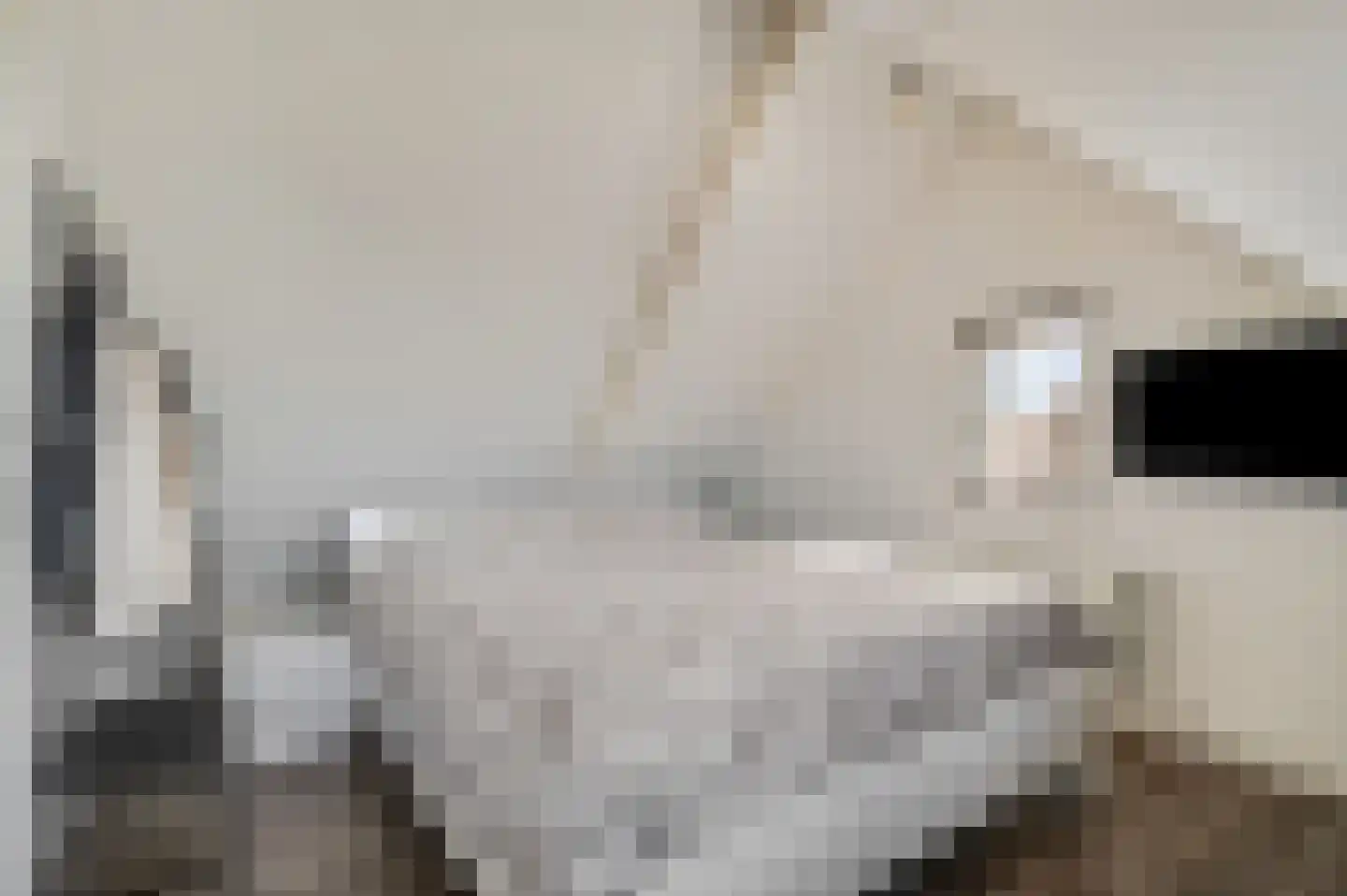 Waalkant 11 Ochten thumbnail 36