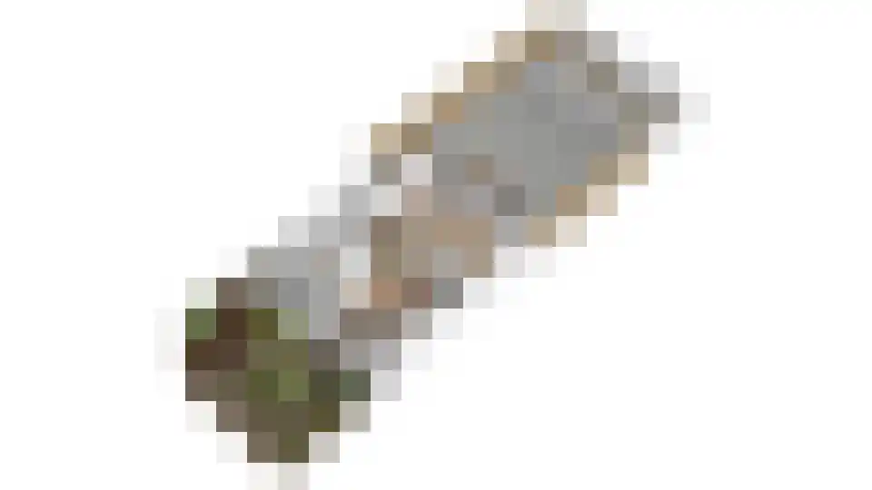 Waalkant 11 Ochten thumbnail 55