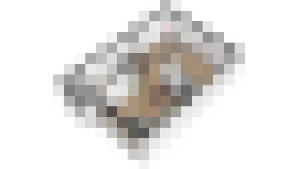 Waalkant 11 Ochten thumbnail 56