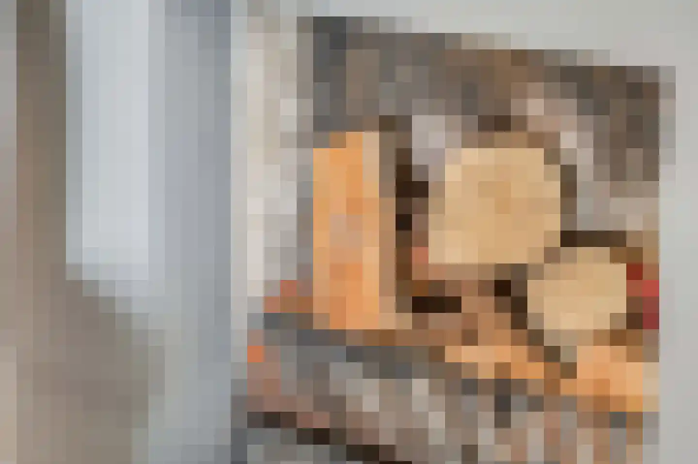 Waalkant 11 Ochten thumbnail 9