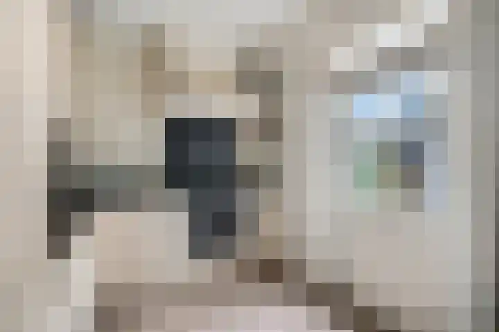 Waalkant 33 Ochten thumbnail 12
