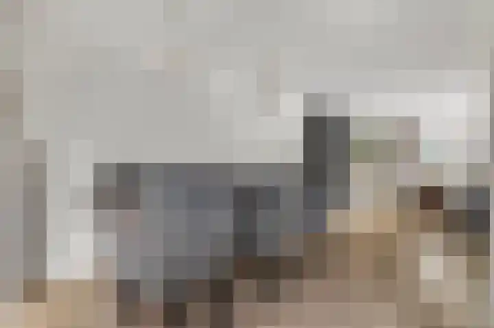 Waalkant 33 Ochten thumbnail 13