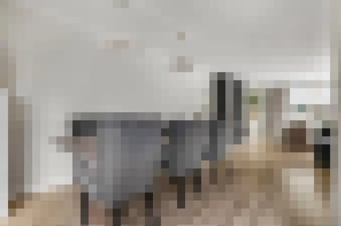 Waalkant 33 Ochten thumbnail 14