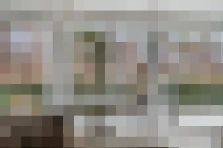 Waalkant 33 Ochten thumbnail 17