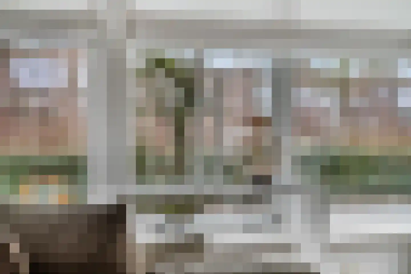 Waalkant 33 Ochten thumbnail 18