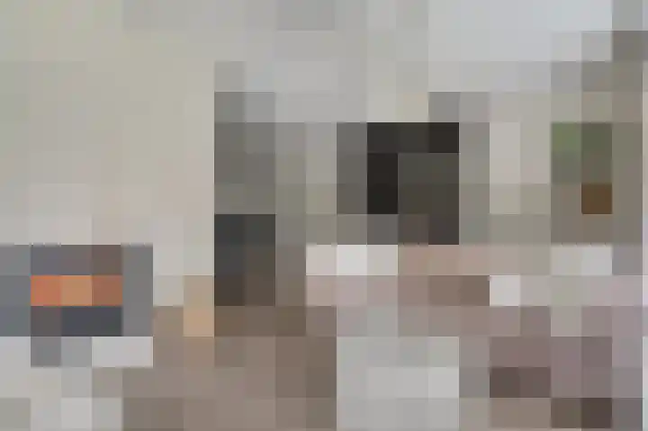 Waalkant 33 Ochten thumbnail 19