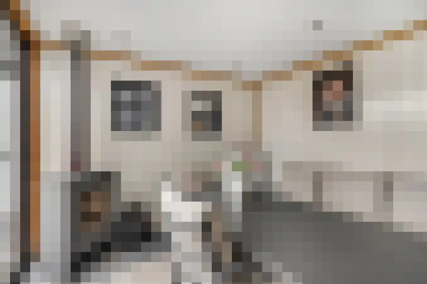 Waalkant 33 Ochten thumbnail 24