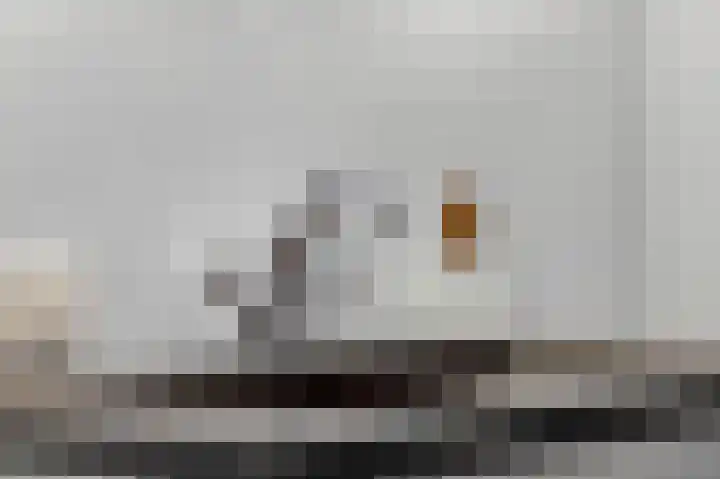 Waalkant 33 Ochten thumbnail 24