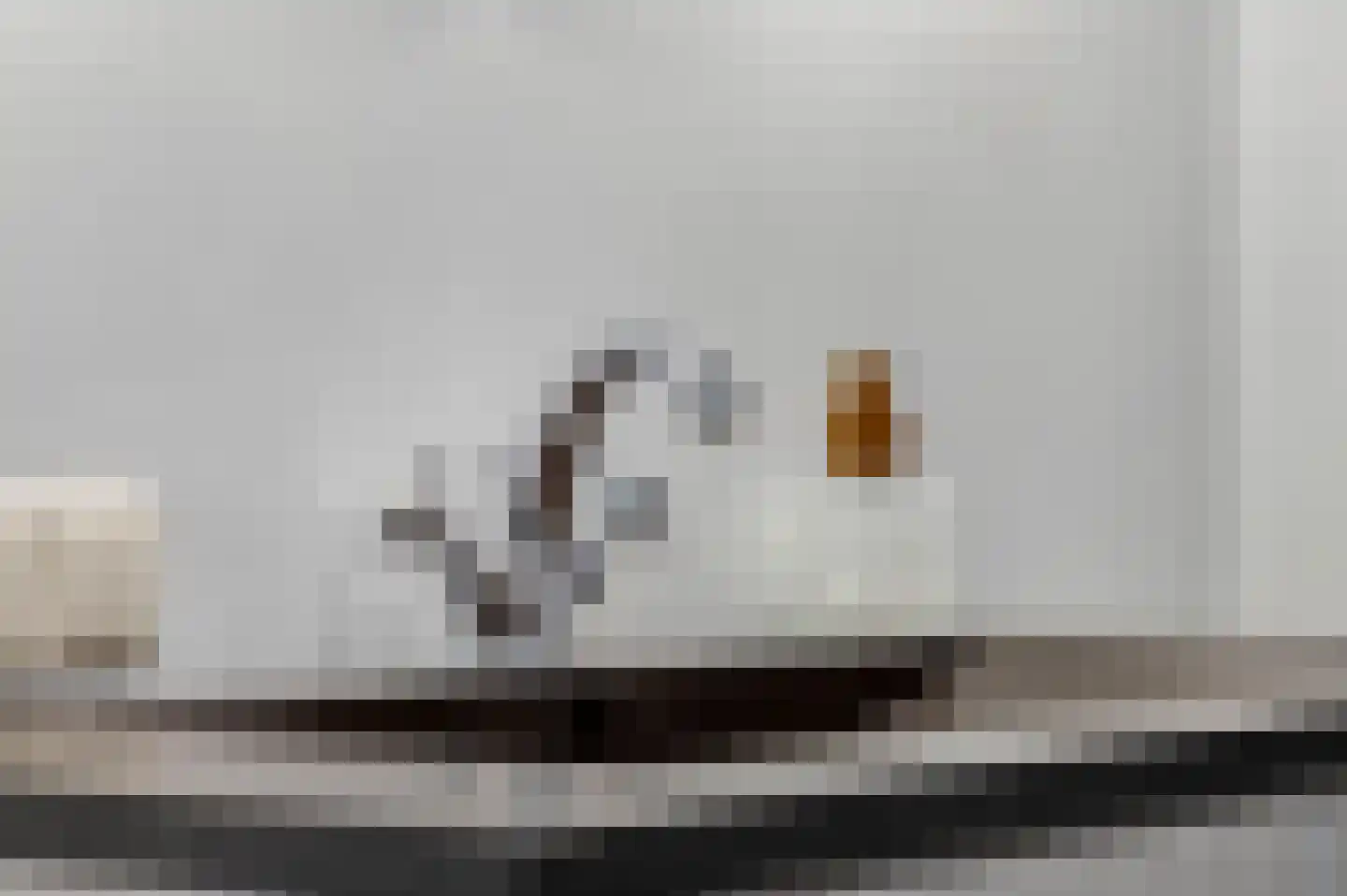 Waalkant 33 Ochten thumbnail 25