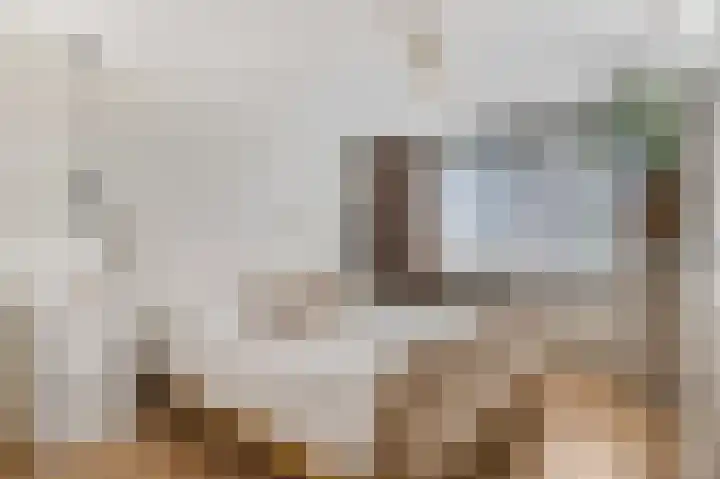 Waalkant 33 Ochten thumbnail 26